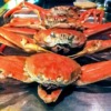新潟県のカニ食べ放題まとめ7選【ランチや日帰りOK・安い店も】